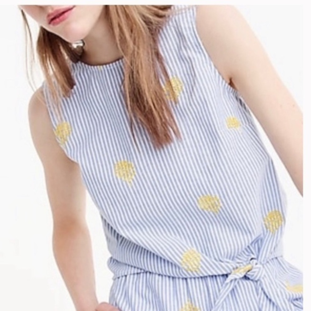 NWOT J. Crew Seersucker Stripe tie top with pineapple embroidery 4 Petite